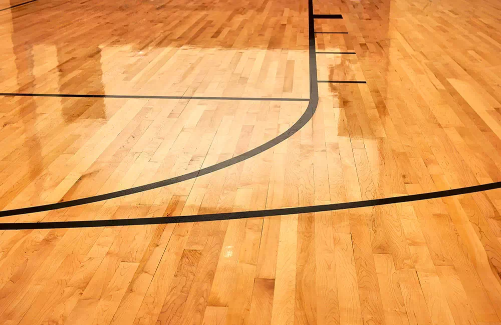 prodotti-antibatterici-per-evitare-muffe